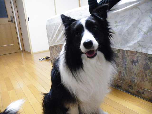 d0059230_10313765.jpg
