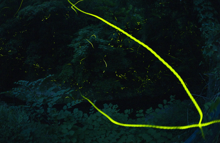 d0147530_627158.jpg