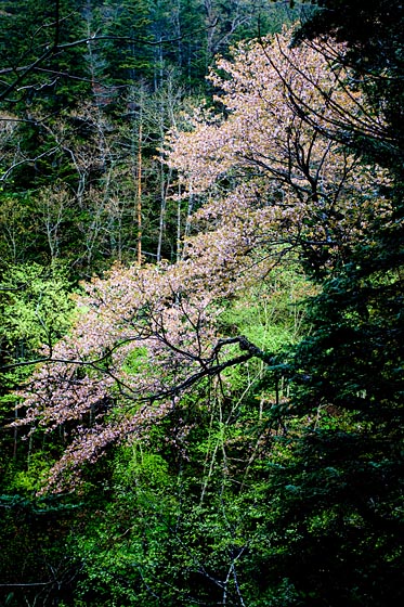 e0025030_17164412.jpg