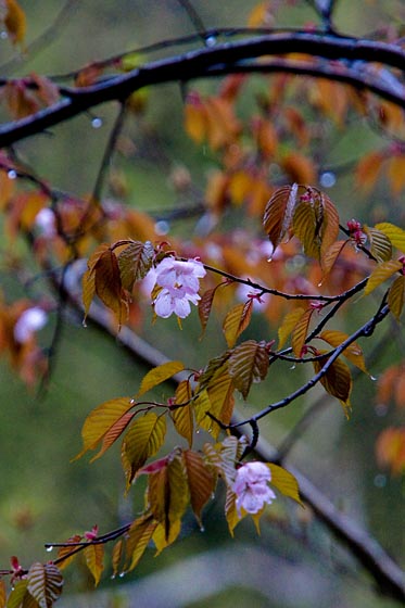 e0025030_17183718.jpg