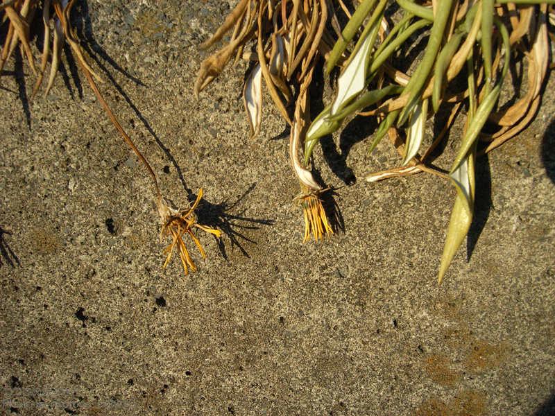 e0016732_9592988.jpg
