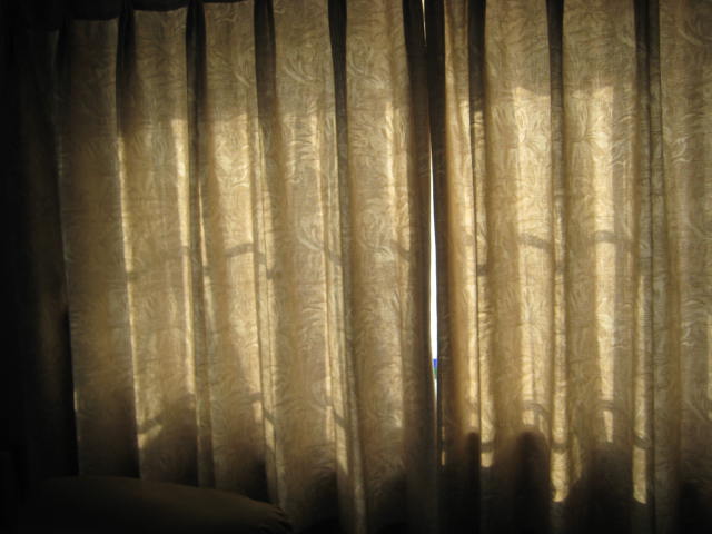 e0166032_1649884.jpg