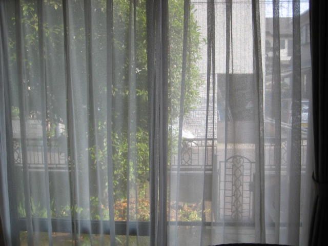 e0166032_1650554.jpg