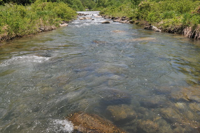 c0133133_23214169.jpg
