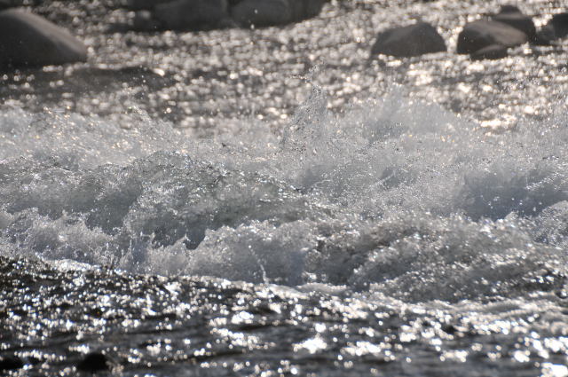 c0133133_23303675.jpg