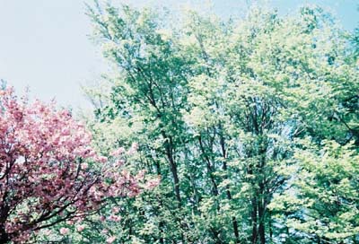 f0236733_22492360.jpg