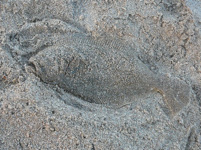 c0194535_1824588.jpg