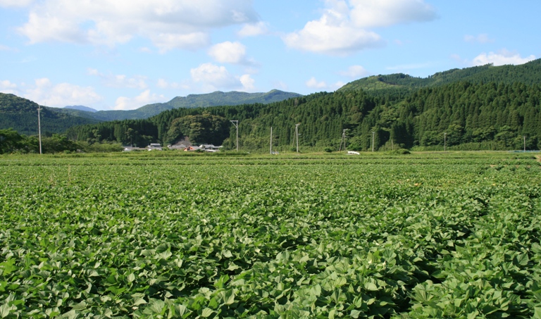 f0042737_2012688.jpg