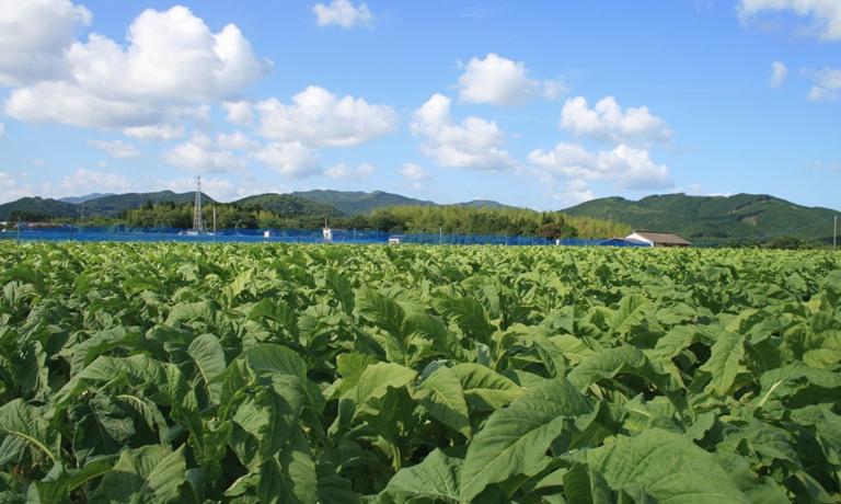 f0042737_20133330.jpg