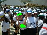 f0183939_1552516.jpg