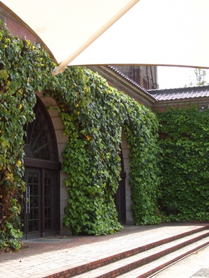b0074640_23294548.jpg