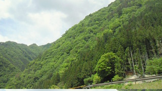 c0136640_1314559.jpg