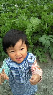 c0136640_134135.jpg