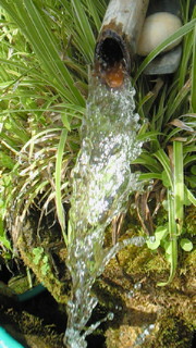c0136640_1492230.jpg
