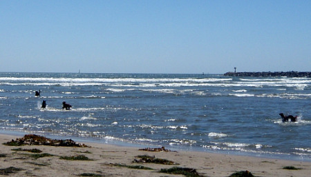 f0162440_17102556.jpg