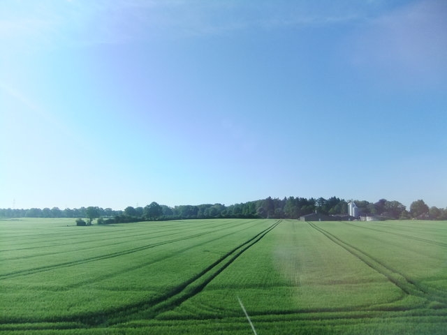 f0210340_66791.jpg