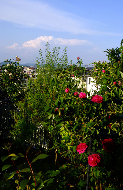 b0075541_22411853.jpg