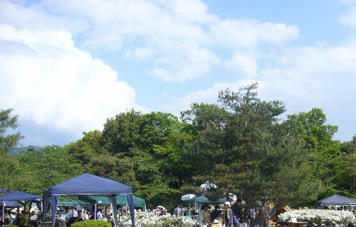 b0149641_0144284.jpg