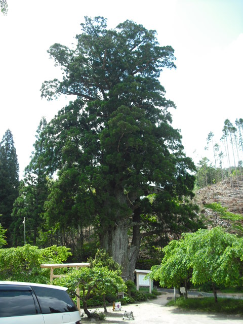 c0194042_22231224.jpg