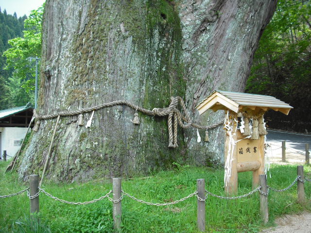 c0194042_22261214.jpg