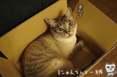 e0031853_2114388.jpg