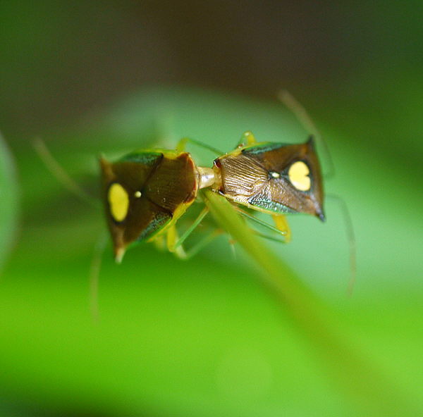 d0091754_355286.jpg