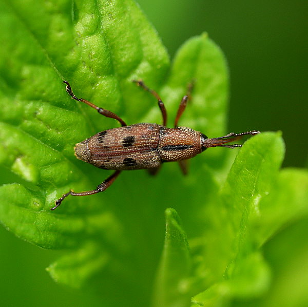 d0091754_357735.jpg