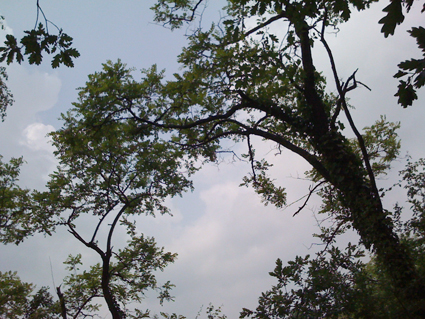 b0180156_641273.jpg