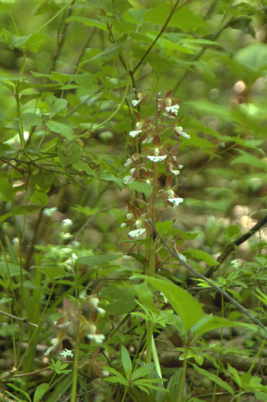 d0098057_3561668.jpg