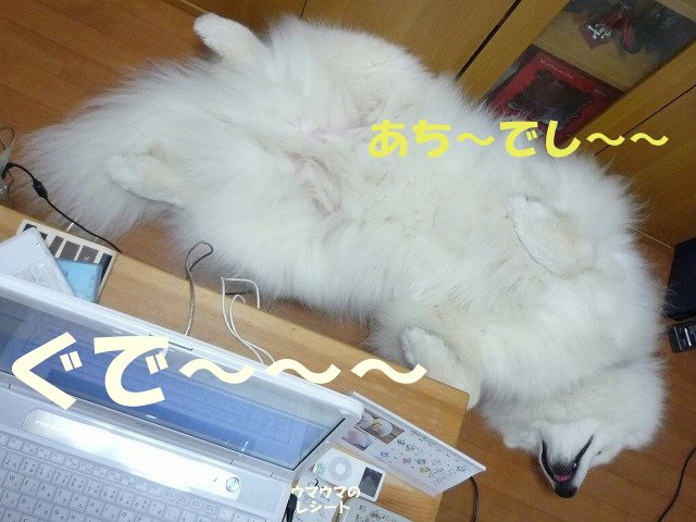 e0176159_2315558.jpg