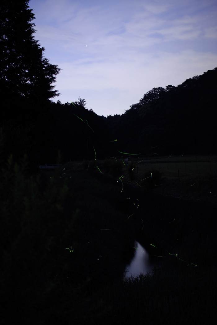 d0148060_1965528.jpg