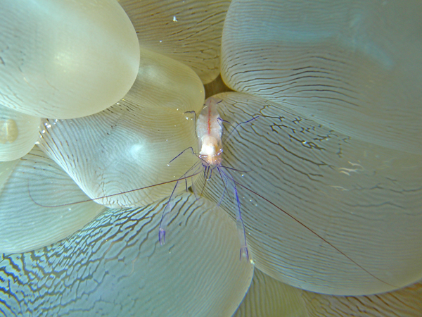b0062363_20334572.jpg