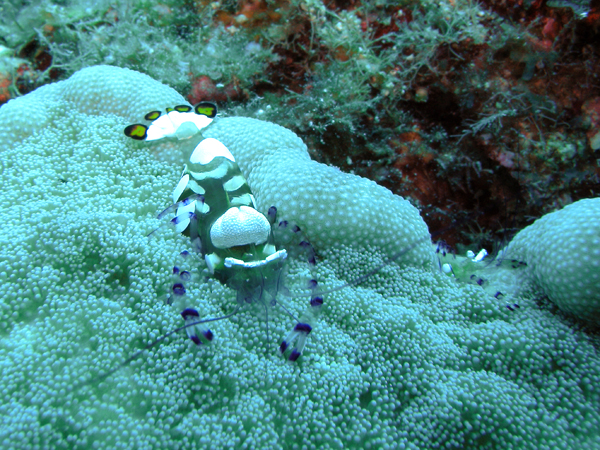 b0062363_20354774.jpg