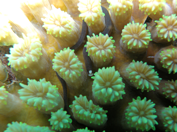 b0062363_20372345.jpg