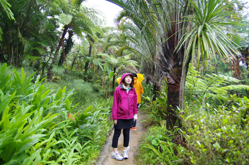 c0048265_1815652.jpg