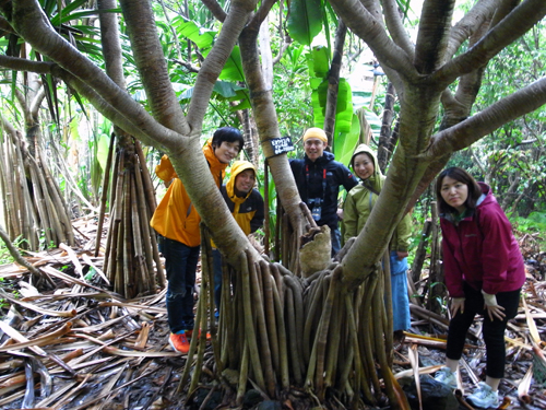 c0048265_18245745.jpg
