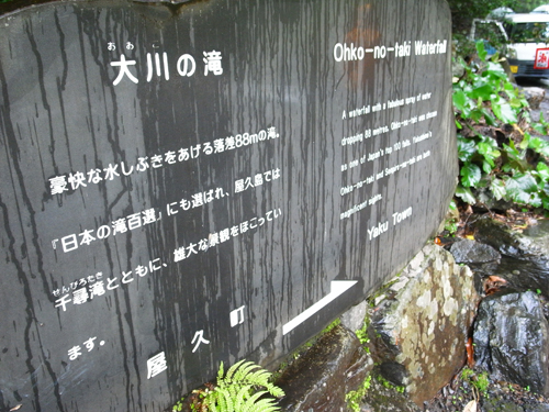 c0048265_18402061.jpg