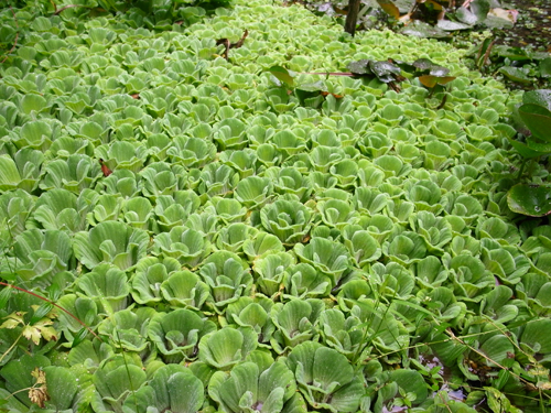 c0048265_187874.jpg