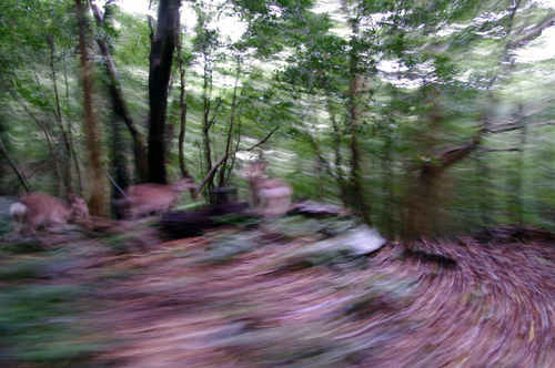 c0048265_19165166.jpg