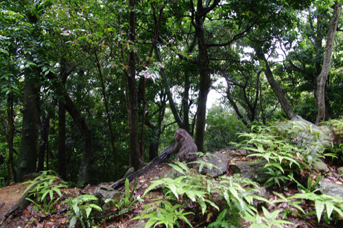 c0048265_19174048.jpg