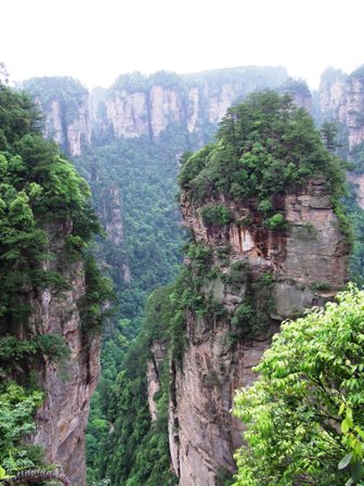 e0130465_15444729.jpg
