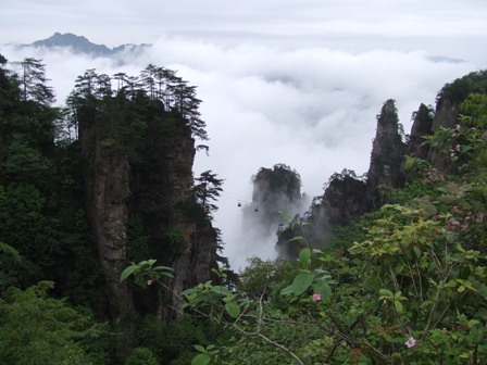 e0130465_1644486.jpg