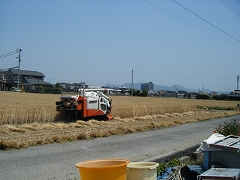 a0026567_8485839.jpg