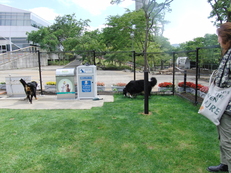 c0177668_105553.jpg