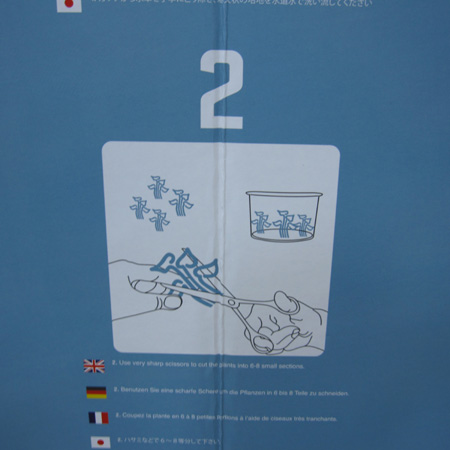 f0224970_2346224.jpg