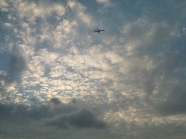 e0158773_2393148.jpg