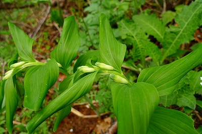 f0182173_21252450.jpg