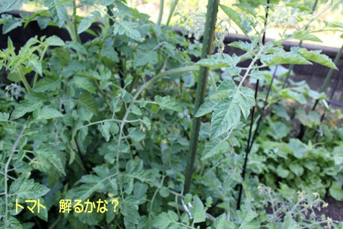 f0003174_10415649.jpg