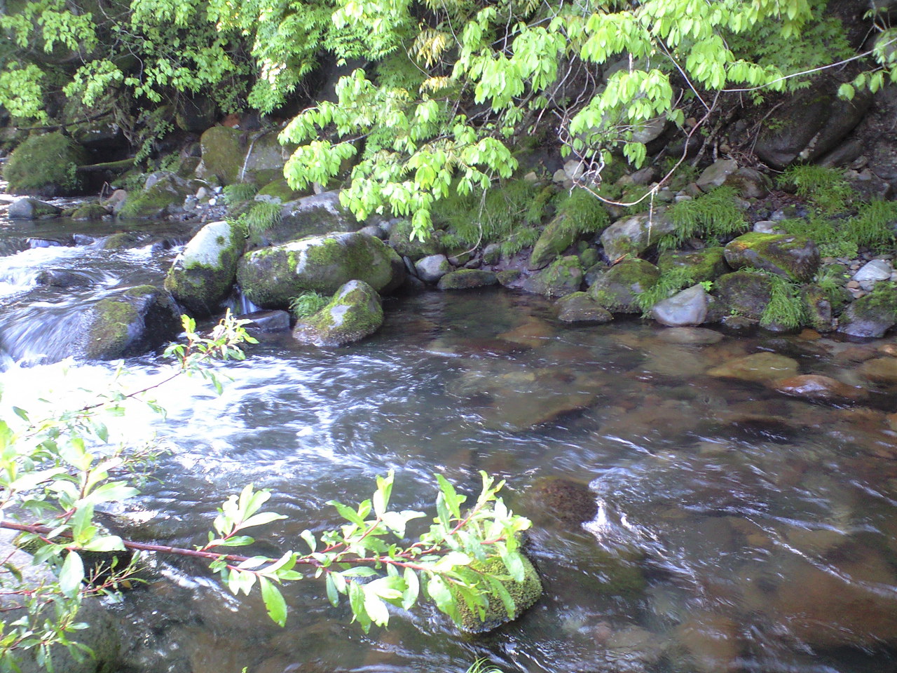 a0093677_21394652.jpg
