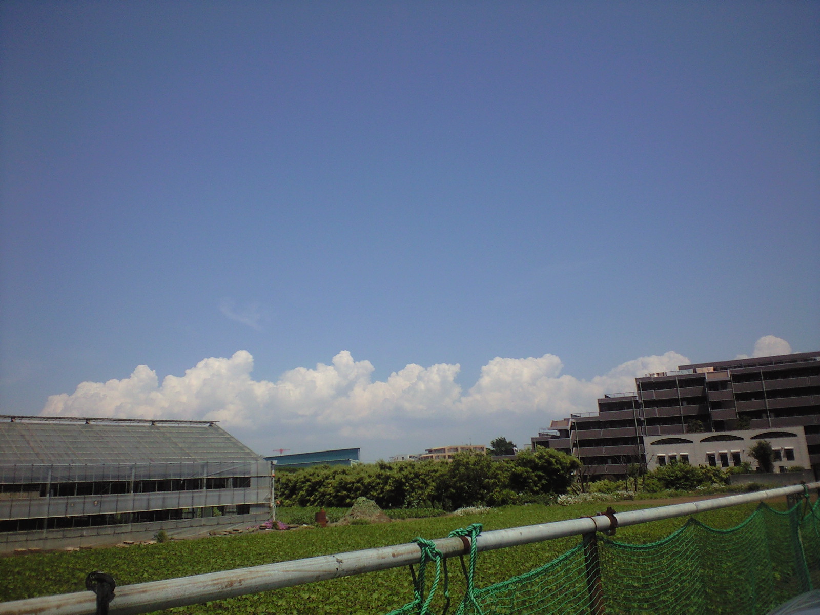 a0152078_17331333.jpg